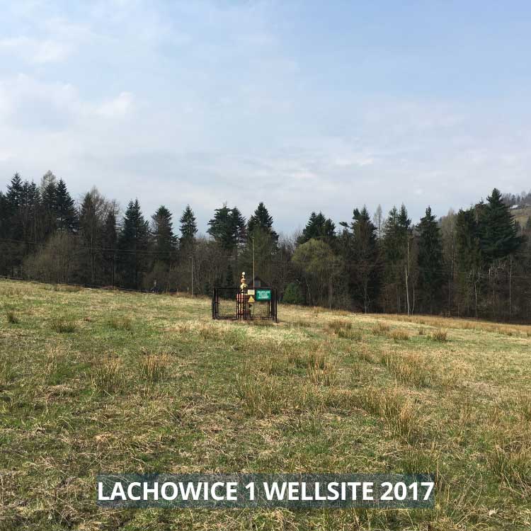 Poland Project - Image 2